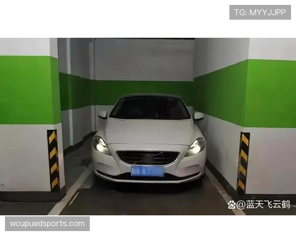 孙悦家的车库比我家还大,里面停的车我一辈子都买不起 孙悦家的车库比我家还大,里面停的车我一辈子都买不起